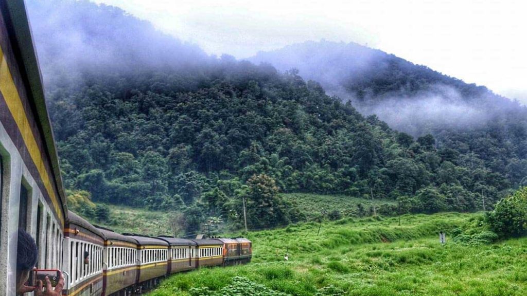 train heading into misty hills