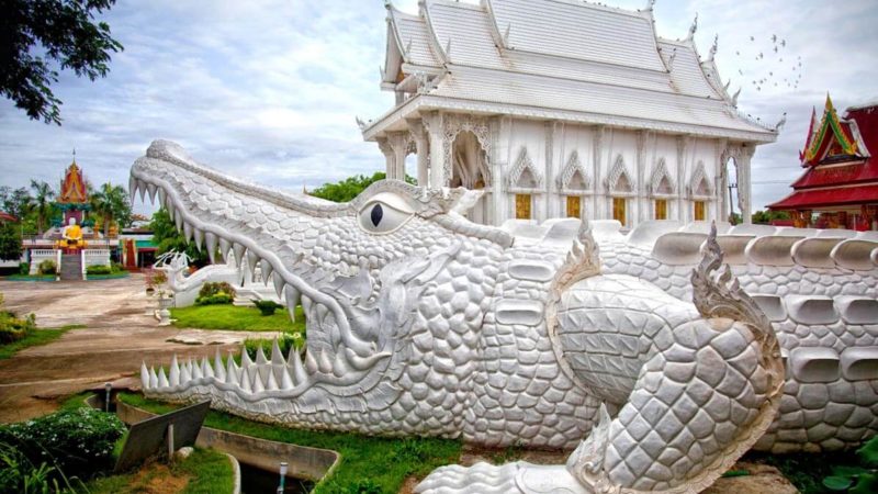 A white crocodile statue in front of a white temple in Phichit